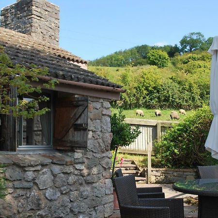 Fenny Castle Vineyard CottageWookey エクステリア 写真