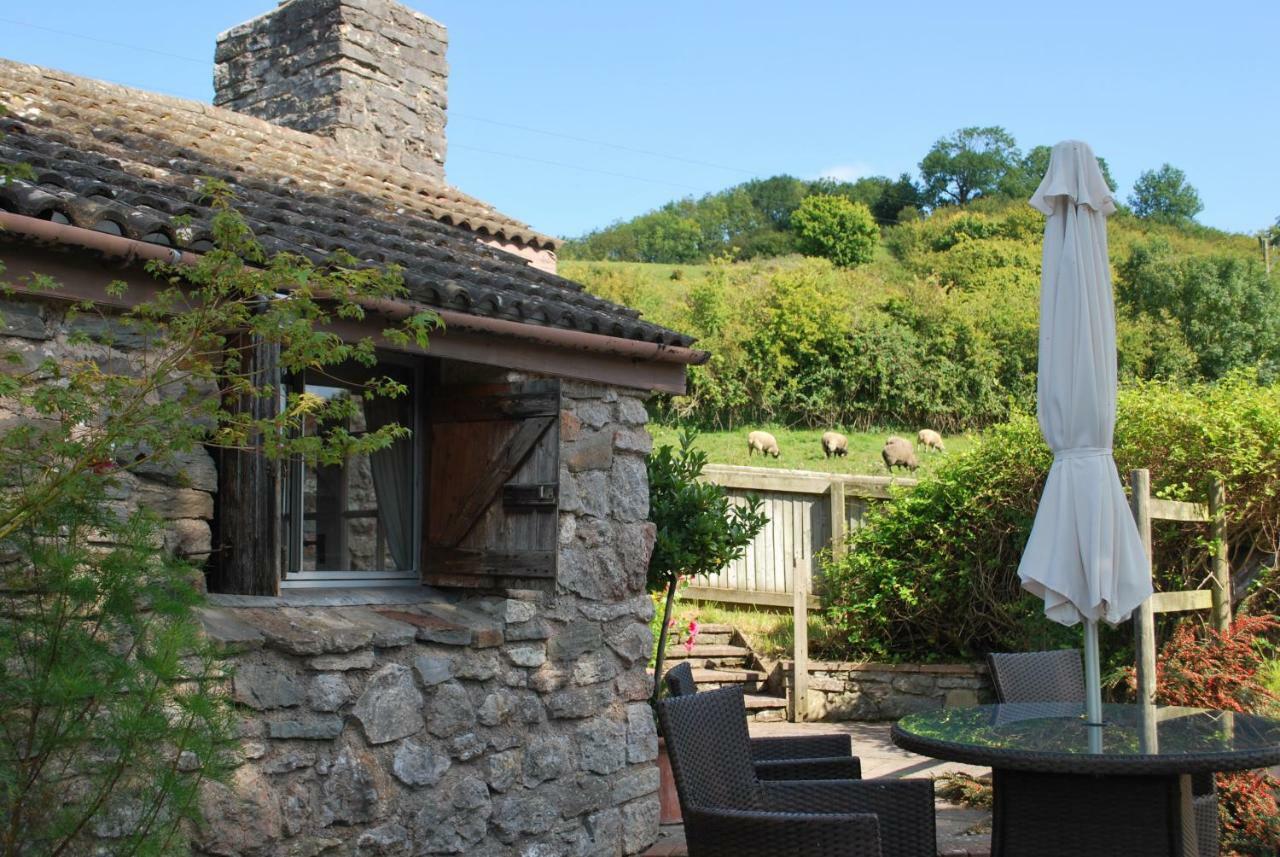 Fenny Castle Vineyard CottageWookey エクステリア 写真