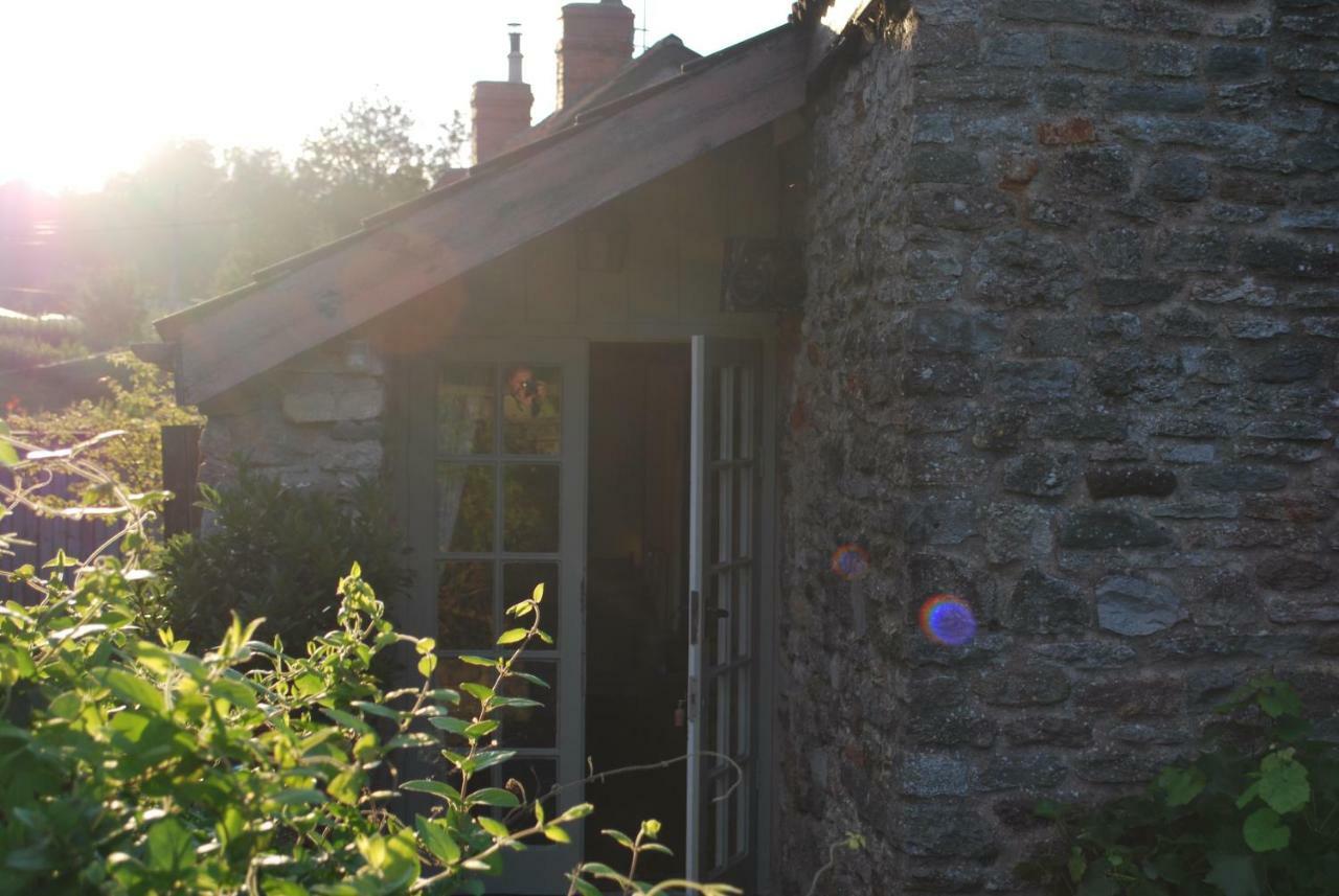 Fenny Castle Vineyard CottageWookey エクステリア 写真