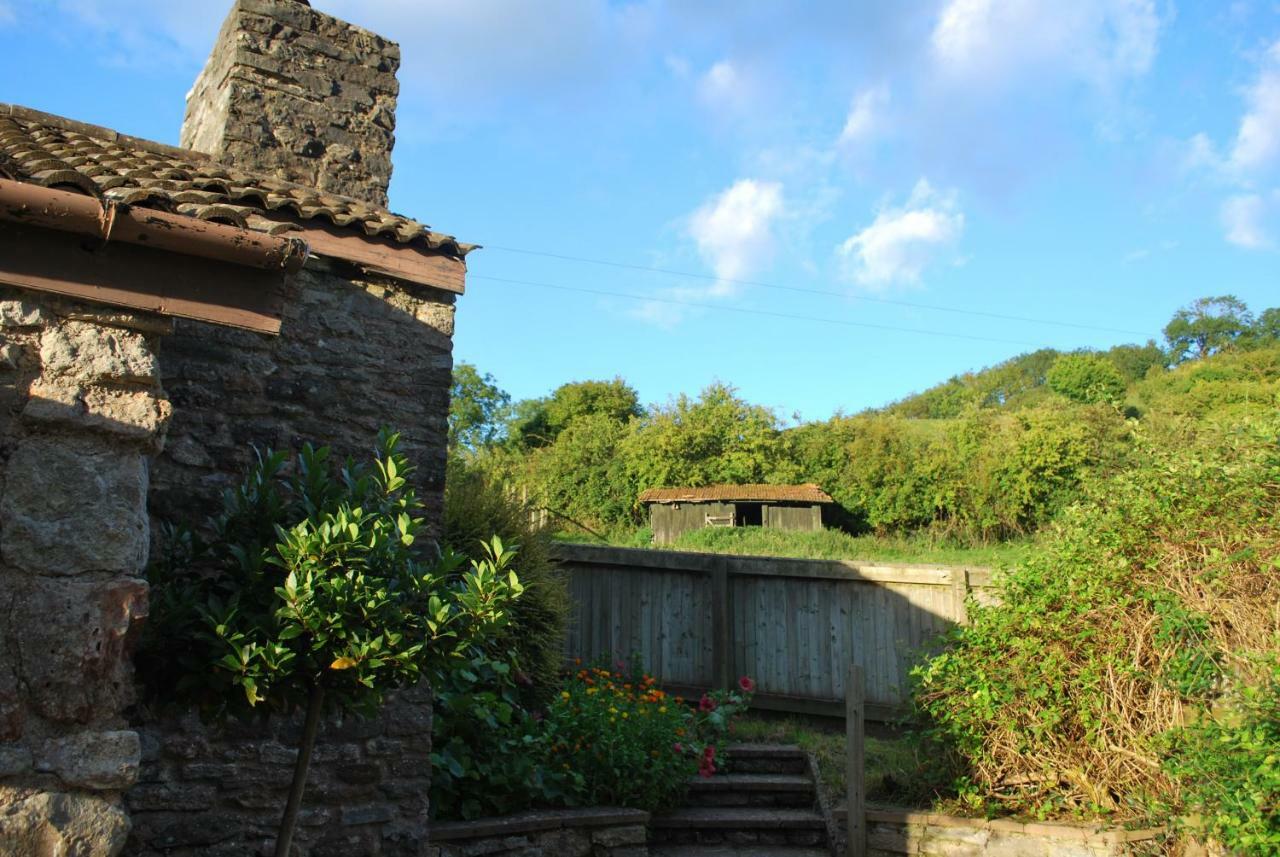 Fenny Castle Vineyard CottageWookey エクステリア 写真